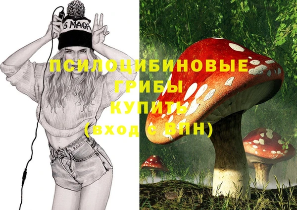 эйфоретик Калининец