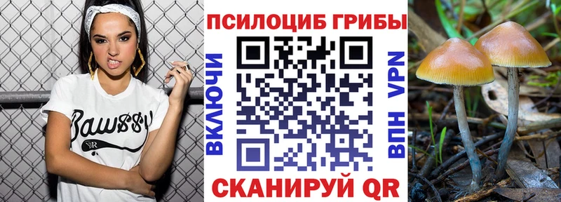 купить наркотик  Усть-Илимск  Галлюциногенные грибы прущие грибы 